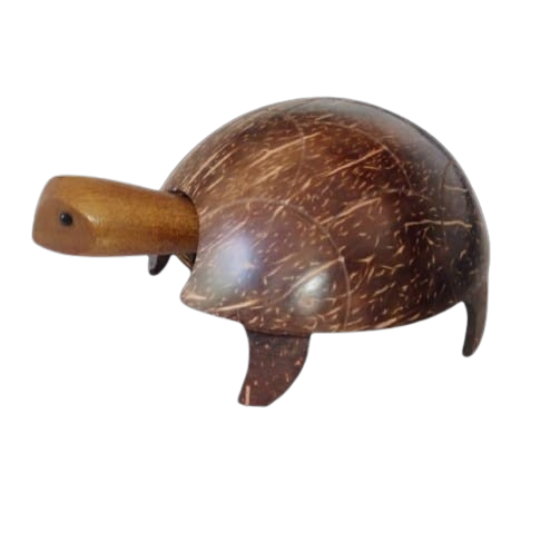 Coconut shell turtle